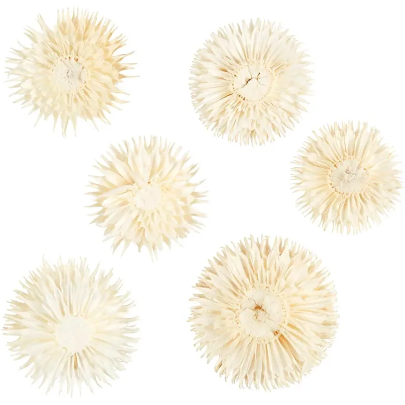 Dried Flower Heads, dia. 3-5 cm, 6 pc