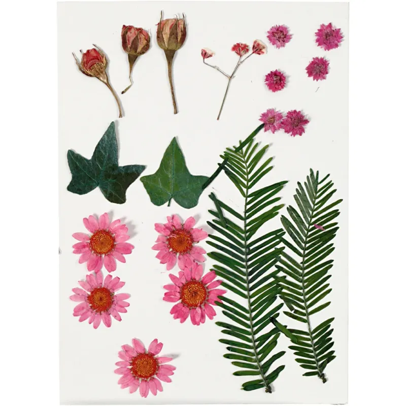 Pressed Flowers and Leaves, ca. 19 pc, light red, 1 pack