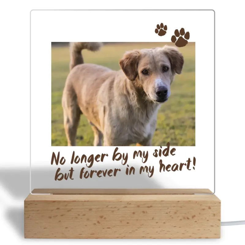 Bild: Personalisiertes Acryl Glasbild - Hunde Trauergeschenk - Hundefoto zur Erinnerung.