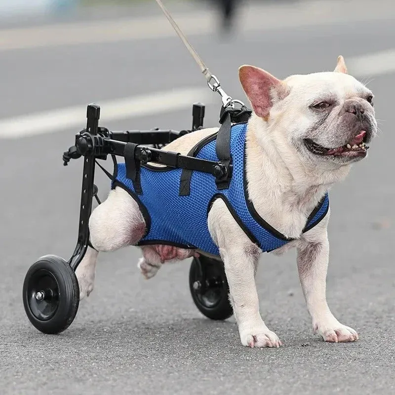 Adjustable Mobility Aid Ergonomic Dog Wheelchair - Image 0
