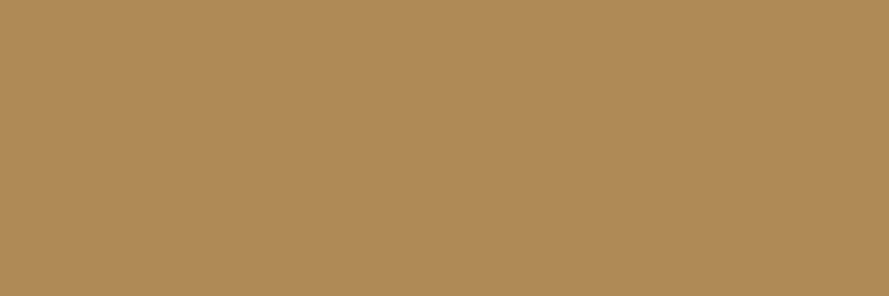 Duschrückwand-RAL 1011 (Braunbeige)
