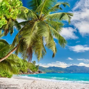 Duschrückwand-Tropischer Strand mit Palmen unter blauem Himmel