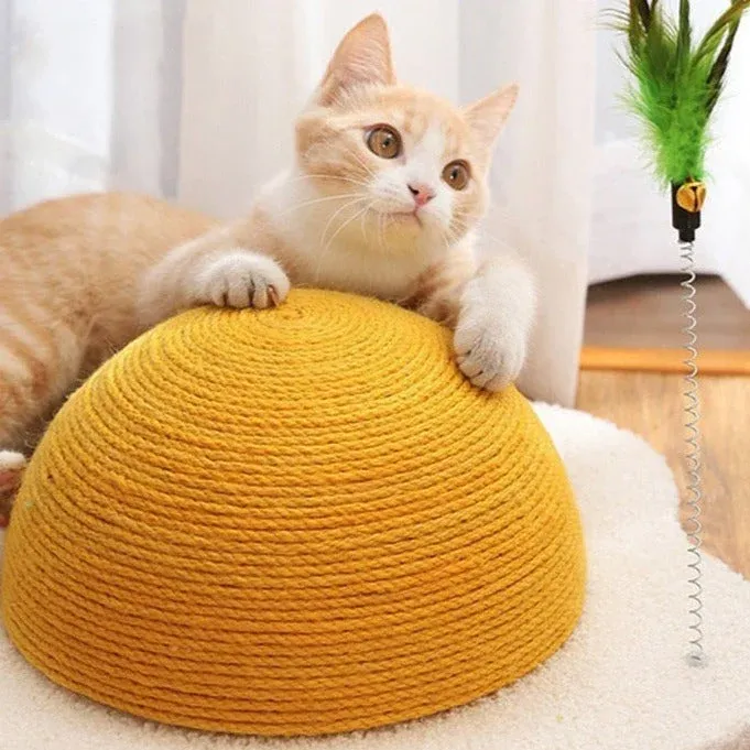 Egg Carrot Cat Scratching Board - Image 0