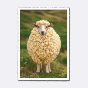 Postkarte mit Schaf, das von Popcorn umgeben ist, und Schriftzug "Impossible Cards"