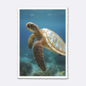 Postkarte mit Meeresschildkröte in blauem Wasser und Schriftzug "Impossible Cards"