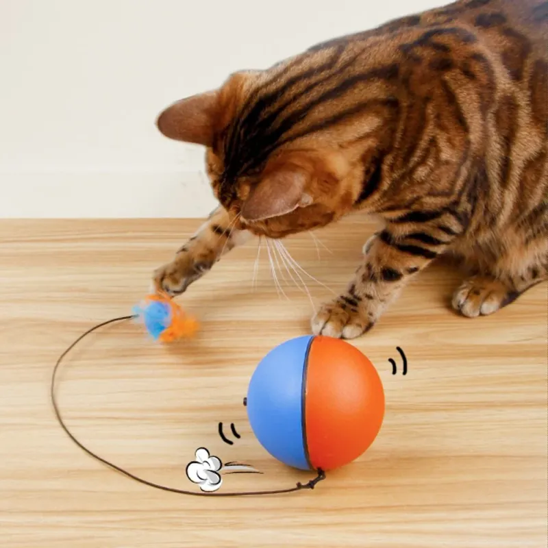 Game Master Automatic Running Cat Ball Toy - Image 0