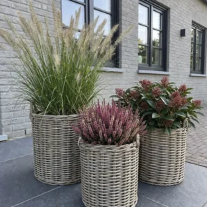 Pflanzenkörbe Set aus 3 St. Grau