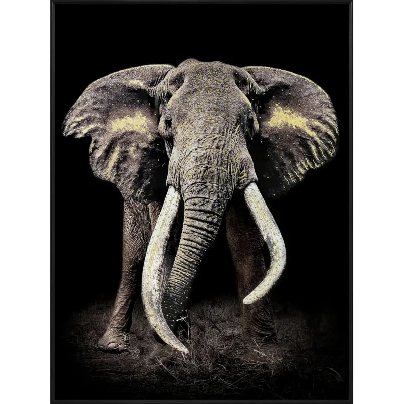 Diamant d`Art Collection Wandbild "Mächtiger Elefant"