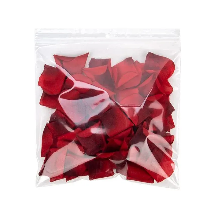 Grip Seal Bags with Hang and Vent-hole 23x23cm Crystal Clear PP 50 micron