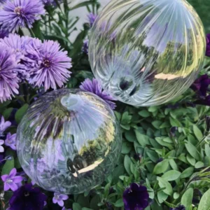 Kugler i klar glas - Sæt af 2 stk til vanding af blomster - VIAMAJA.DK